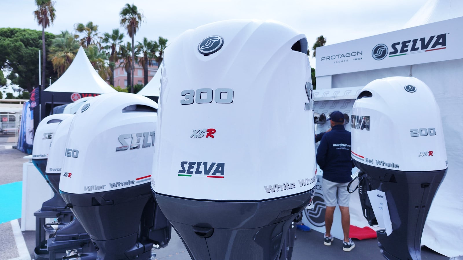 Selva 300 xsr